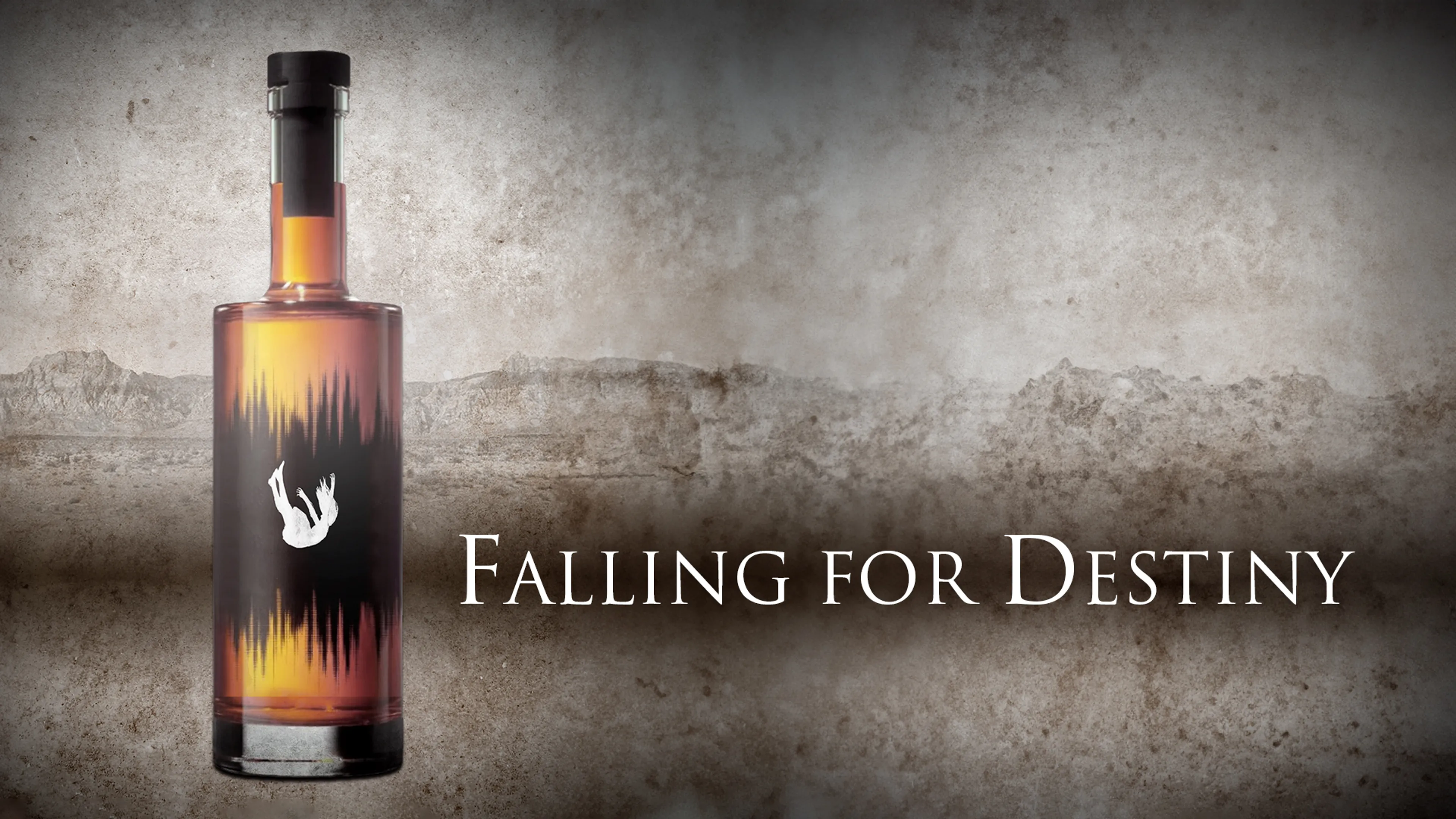 Falling for Destiny poster